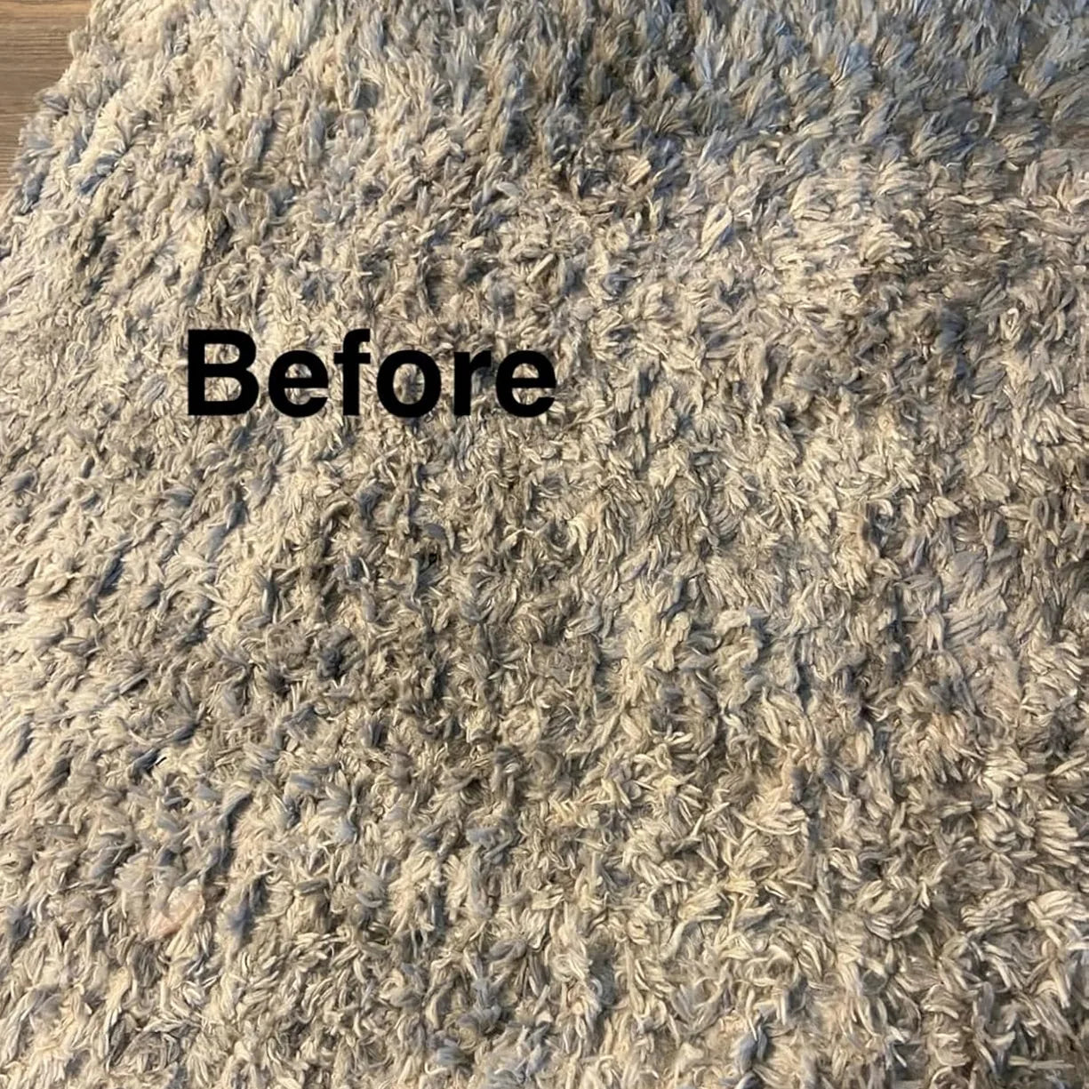 Carpet before cleaning – flattened fibers with embedded hair and debris.