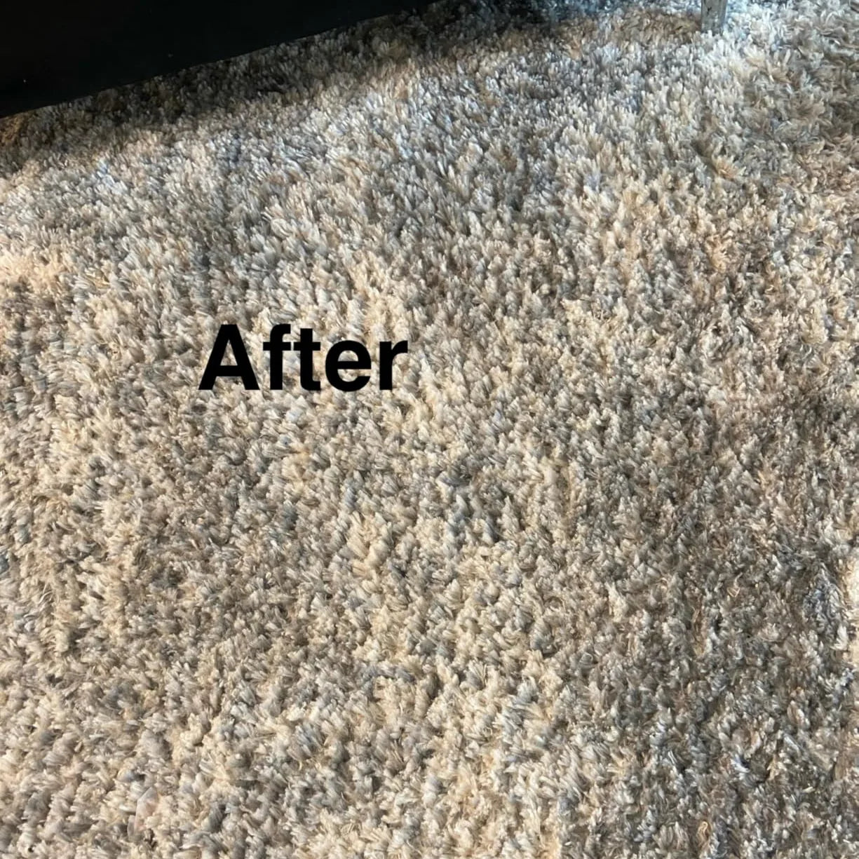 Carpet after cleaning – lifted, fluffy fibers restored using a carpet rake.